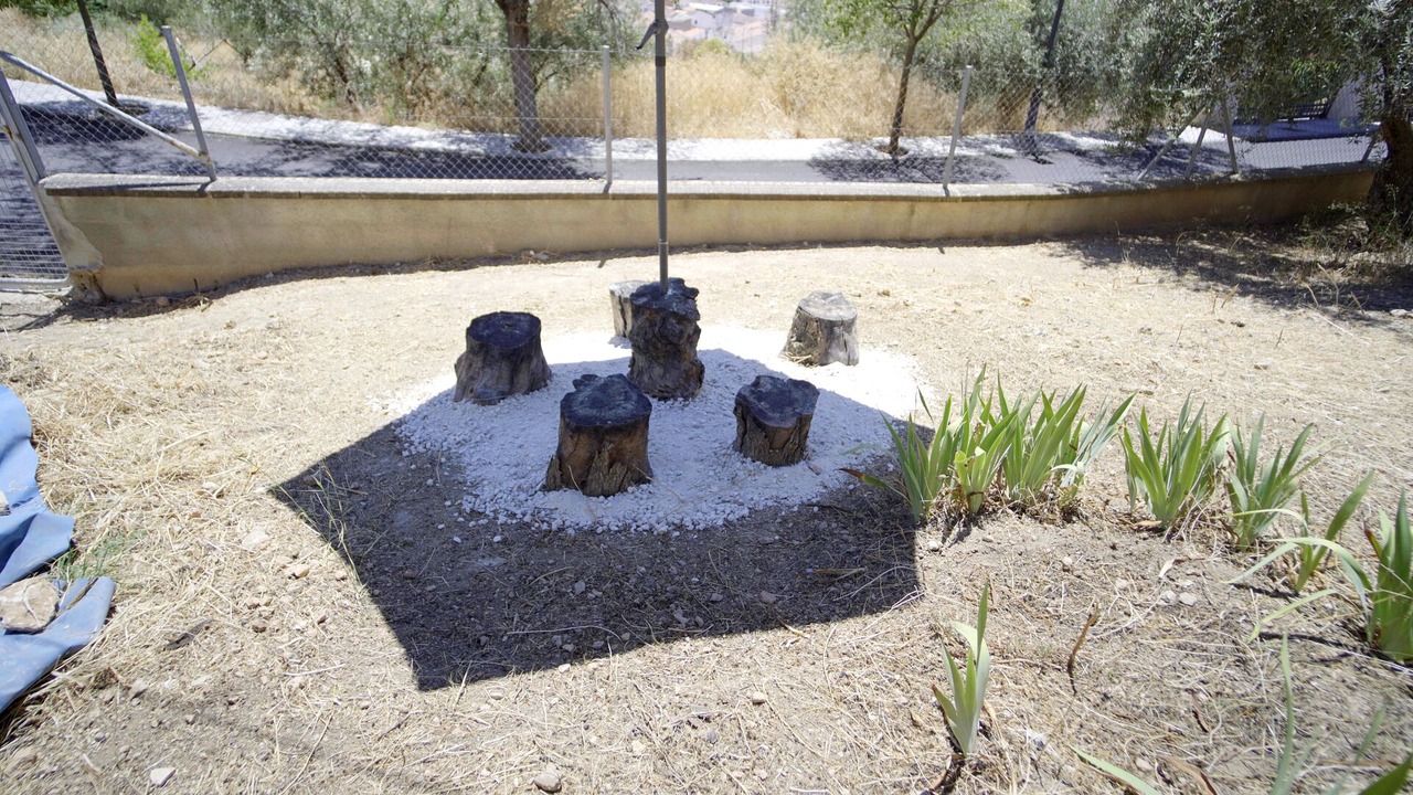 Photo of Outdoor in Loja