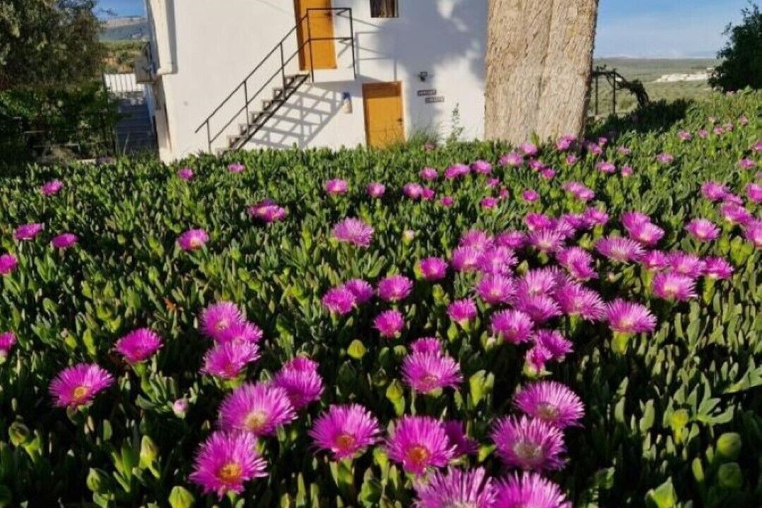 Photo of Outdoor in Illora