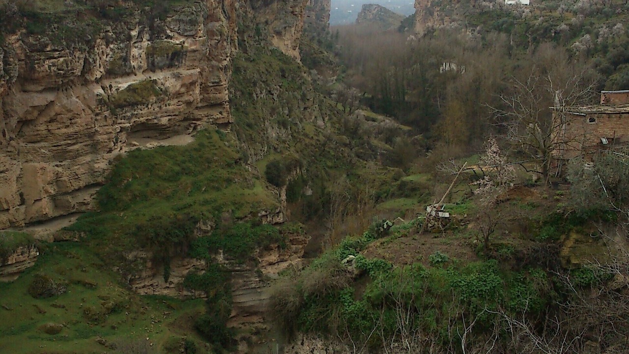 Photo of Others in Alhama de Granada