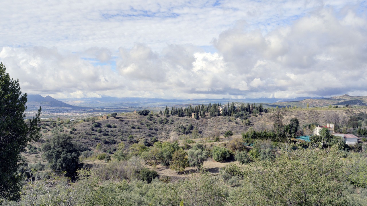 Photo of Others in Granada