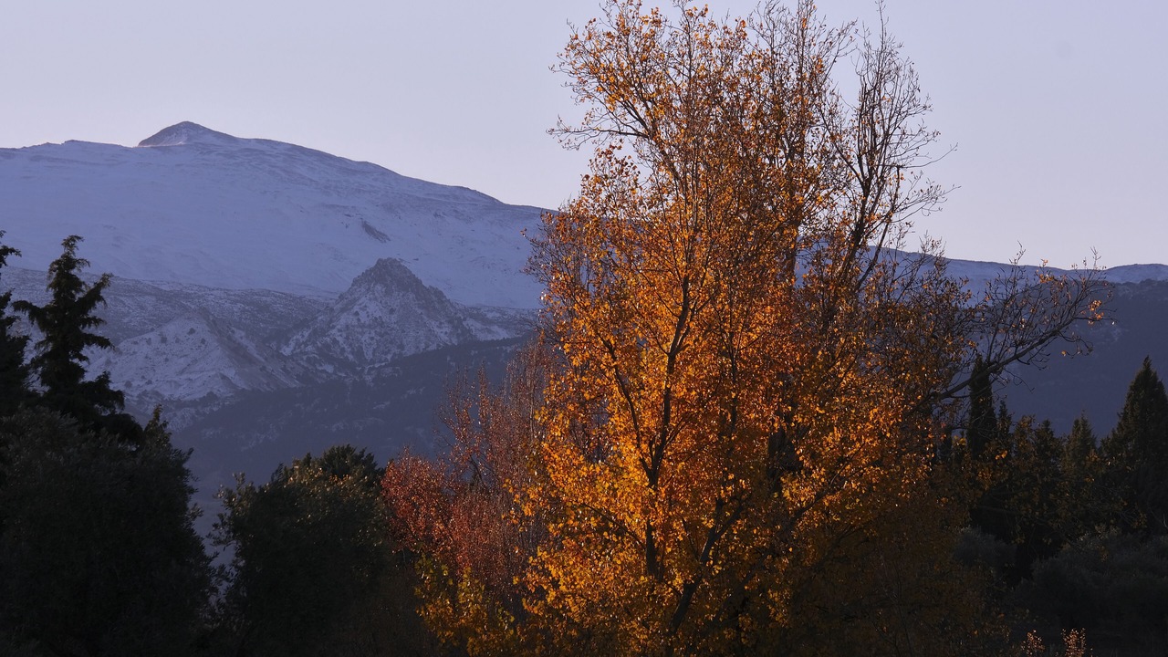 Photo of Others in Granada