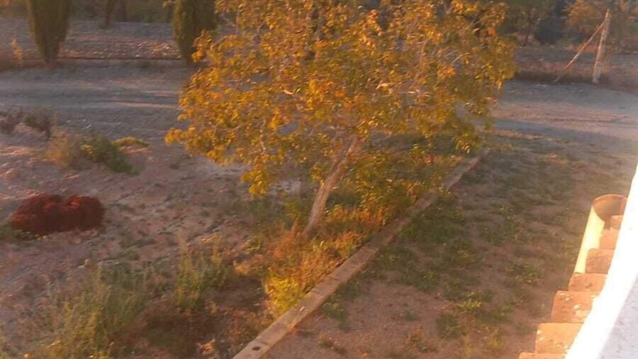 Photo of Outdoor in Murtas