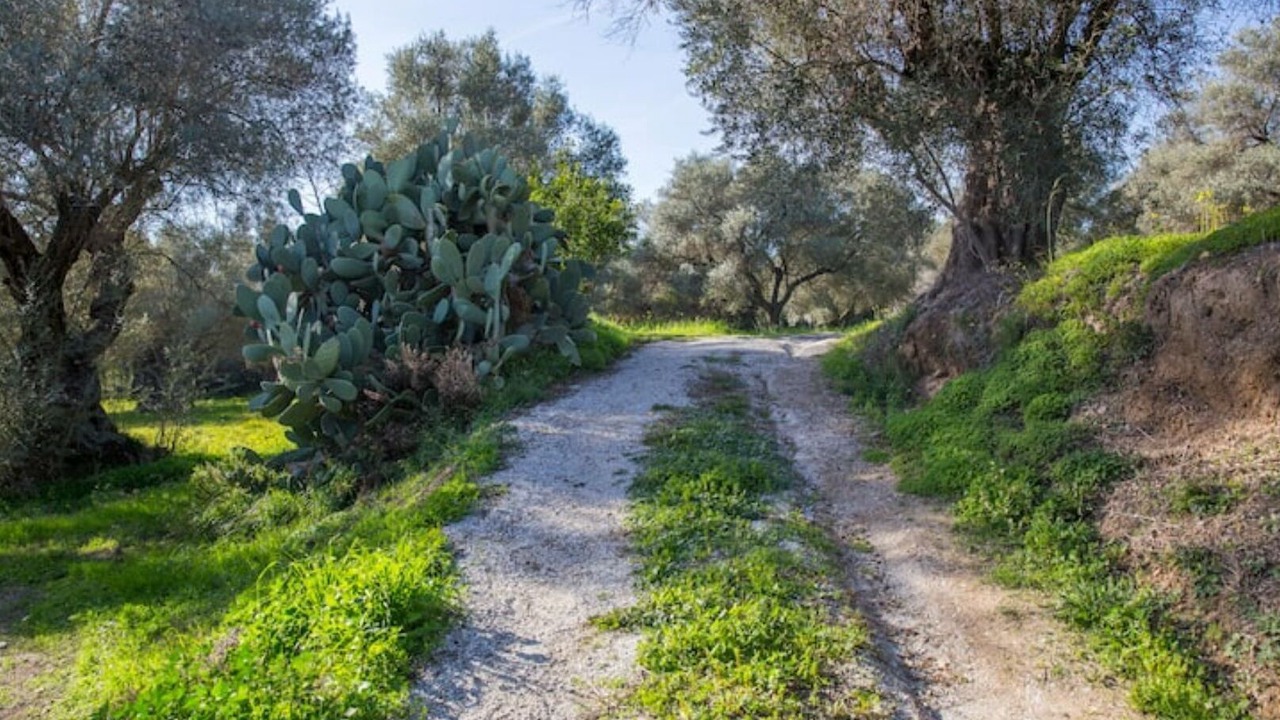 Photo of Outdoor in Agustinos