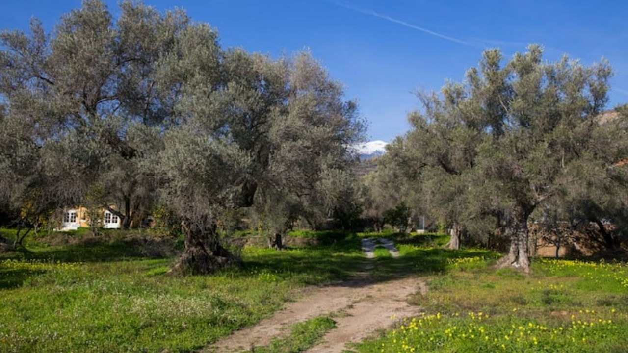 Photo of Others in Agustinos