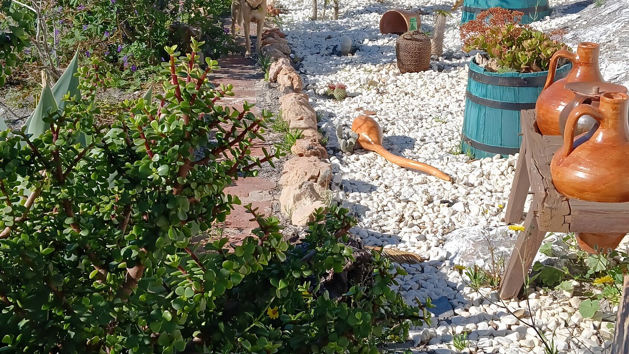 Photo of Outdoor in Sorvilan