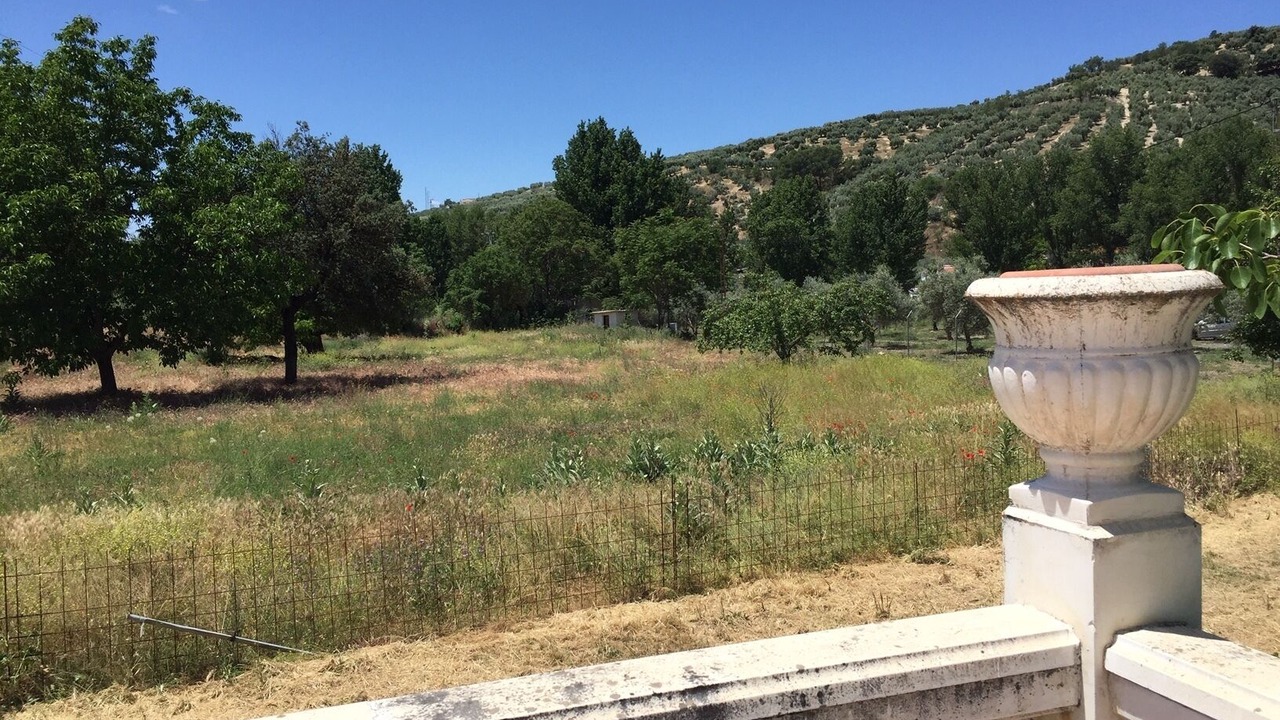 Photo of Outdoor in Montefrio