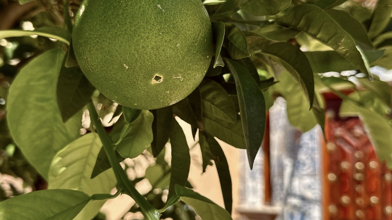 Photo of Outdoor in Granada