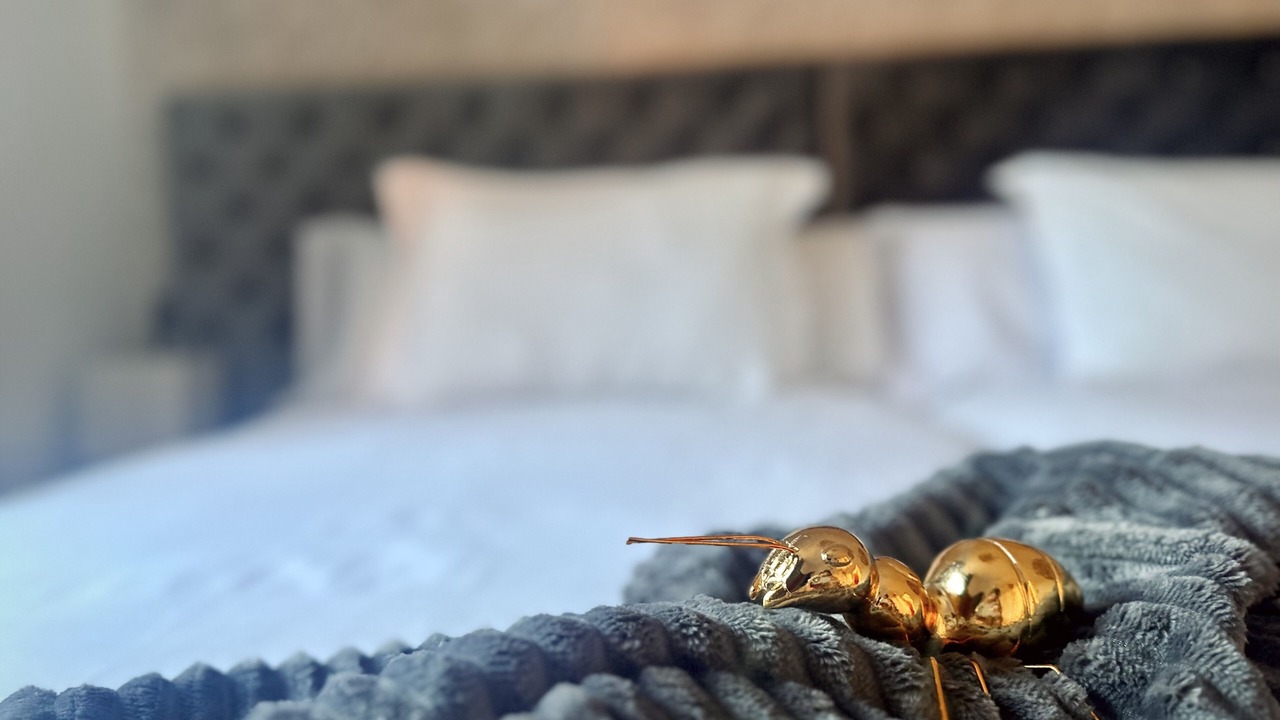 Photo of Bedroom in Granada