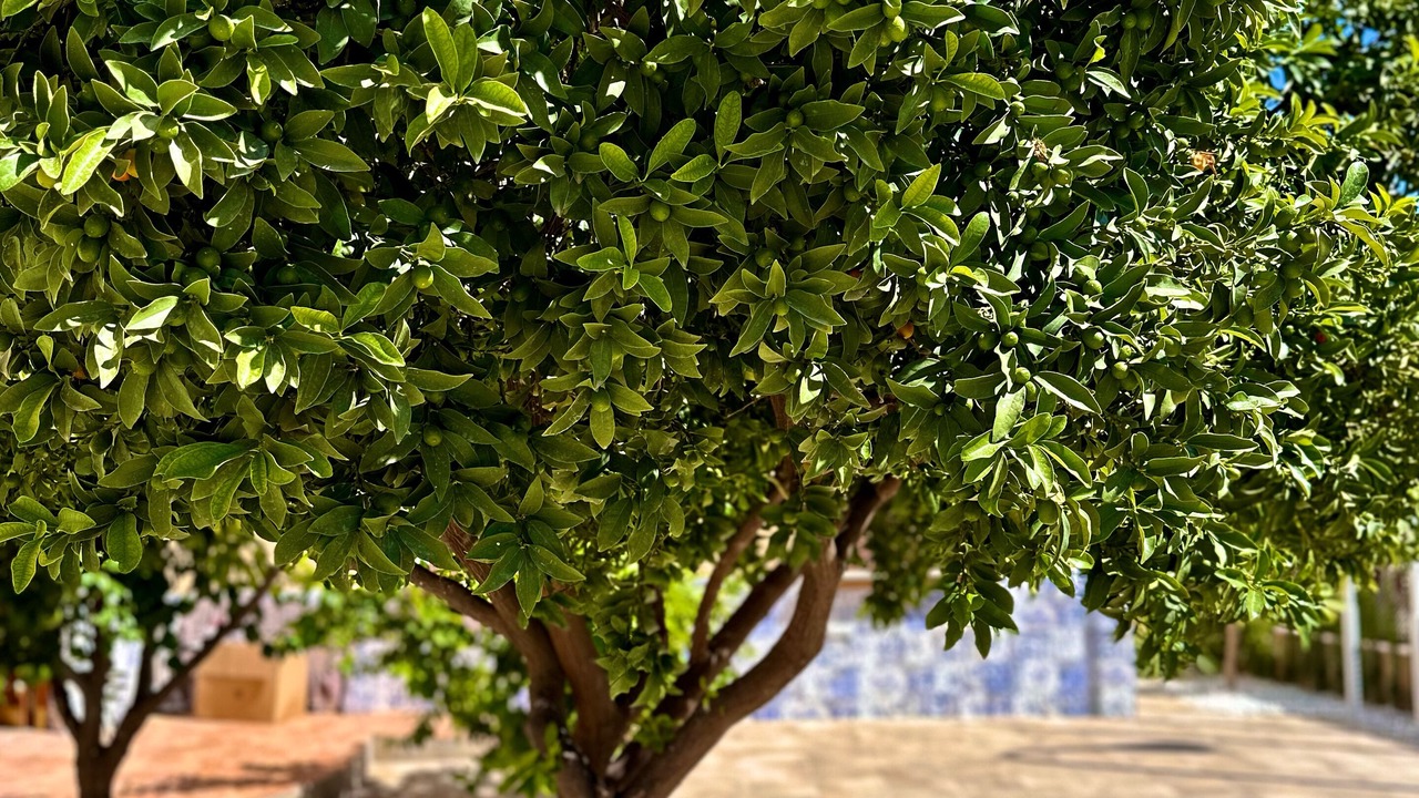 Photo of Outdoor in Granada