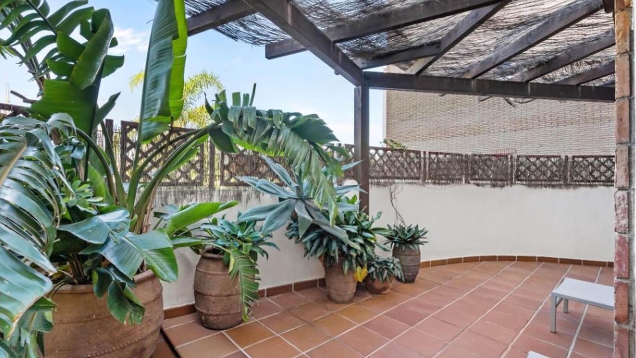 Photo of Patio Balcony in Norte