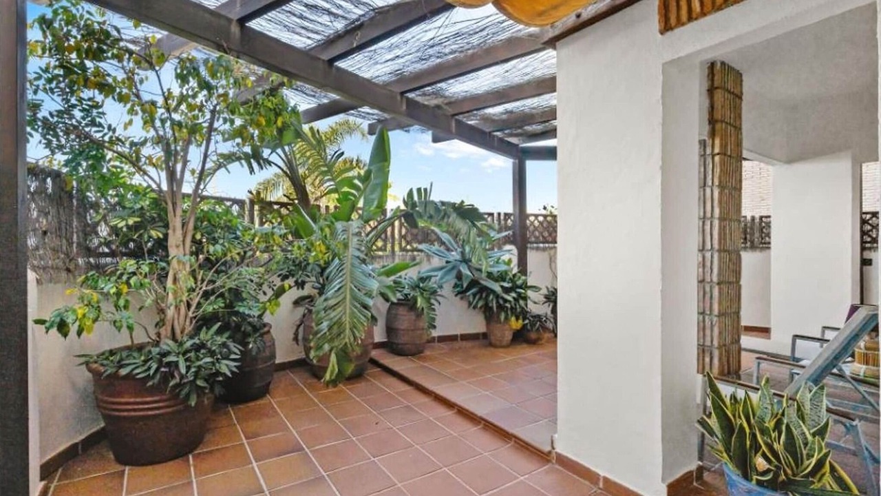 Photo of Patio Balcony in Norte