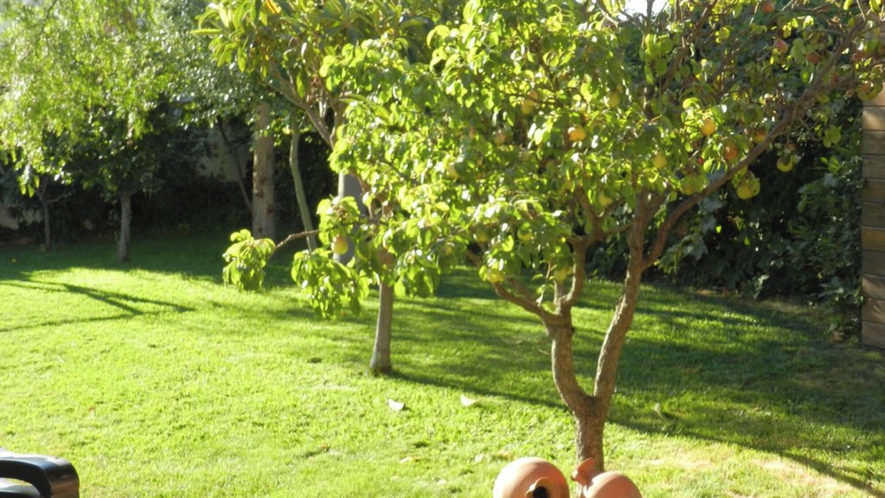 Photo of Outdoor in Padul