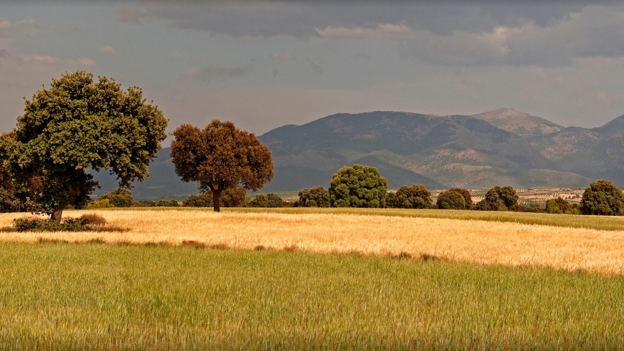 Photo of Others in Gorafe