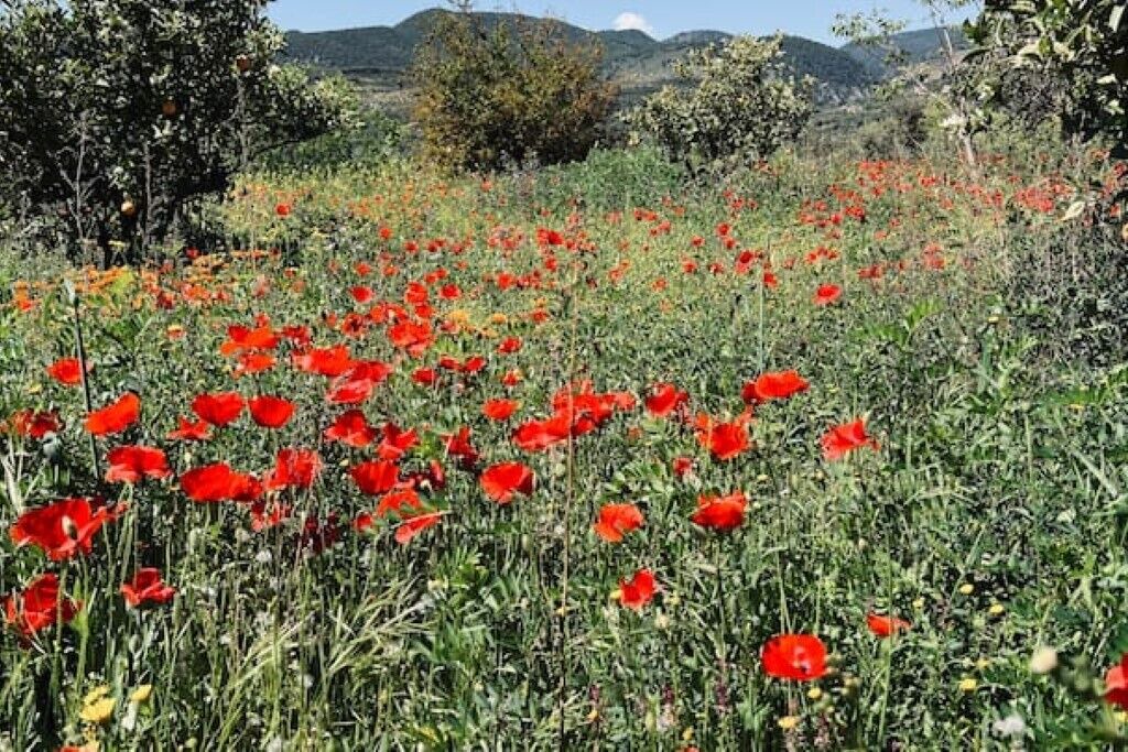 Photo of Outdoor in Albunuelas