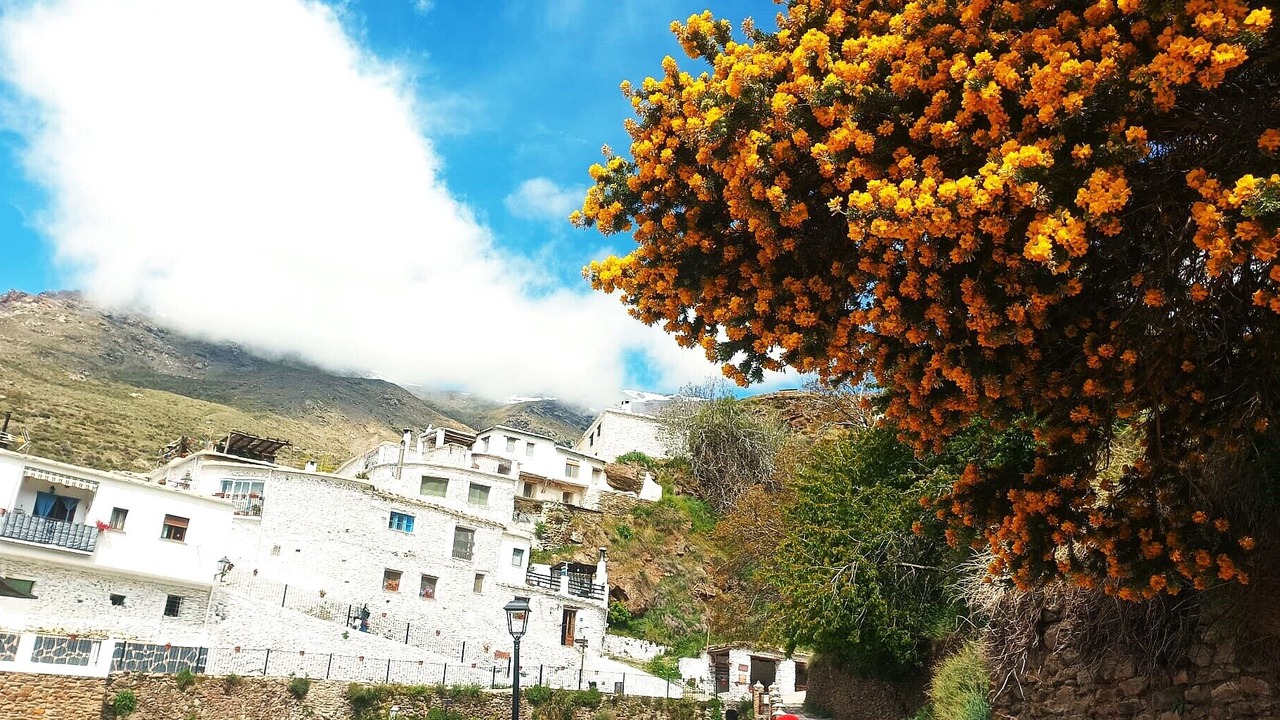 Photo of Outdoor in Trevelez