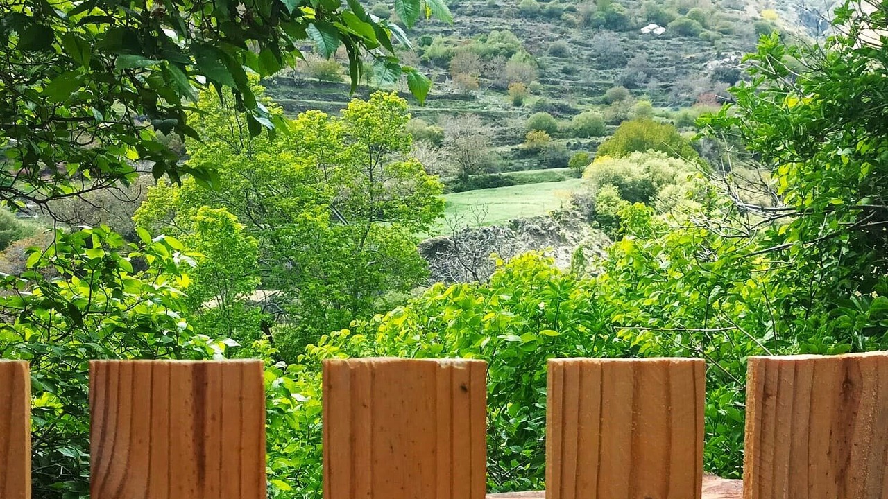 Photo of Outdoor in Trevelez