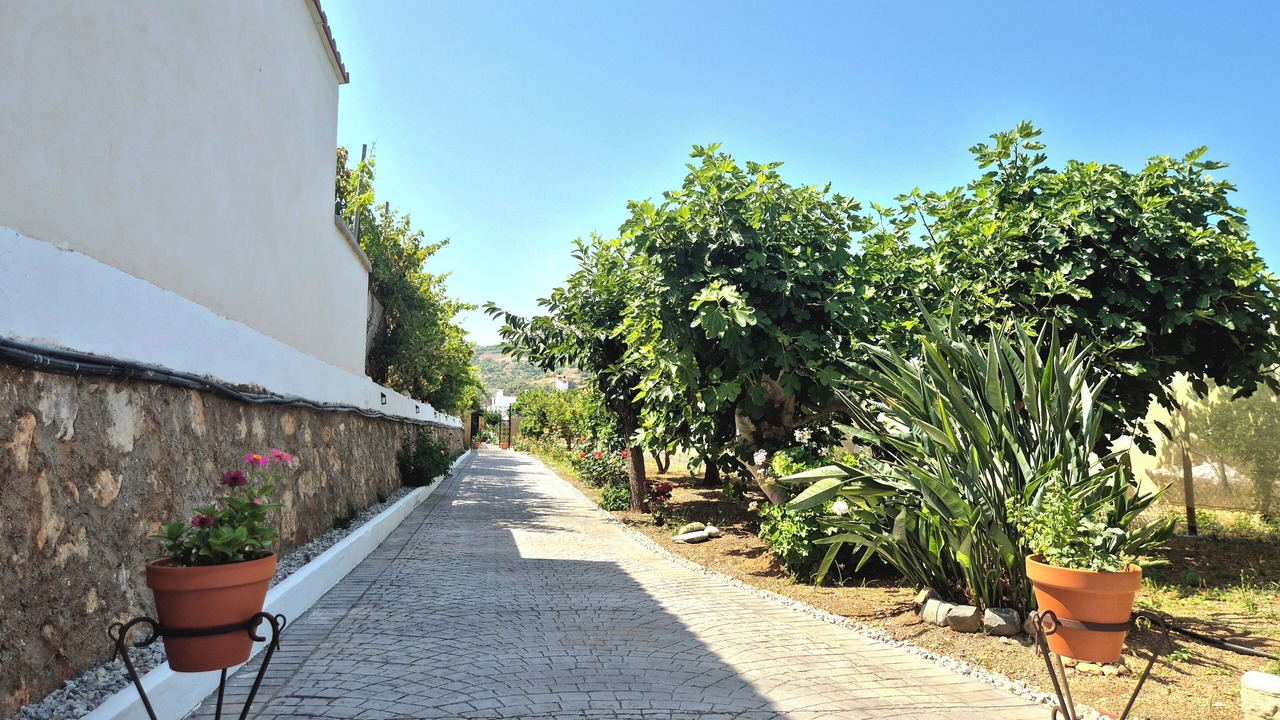 Photo of Others in Motril