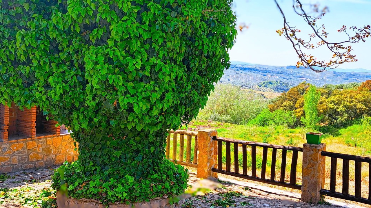 Photo of Outdoor in Algarinejo
