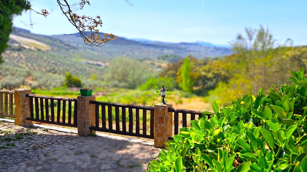 Photo of Outdoor in Algarinejo