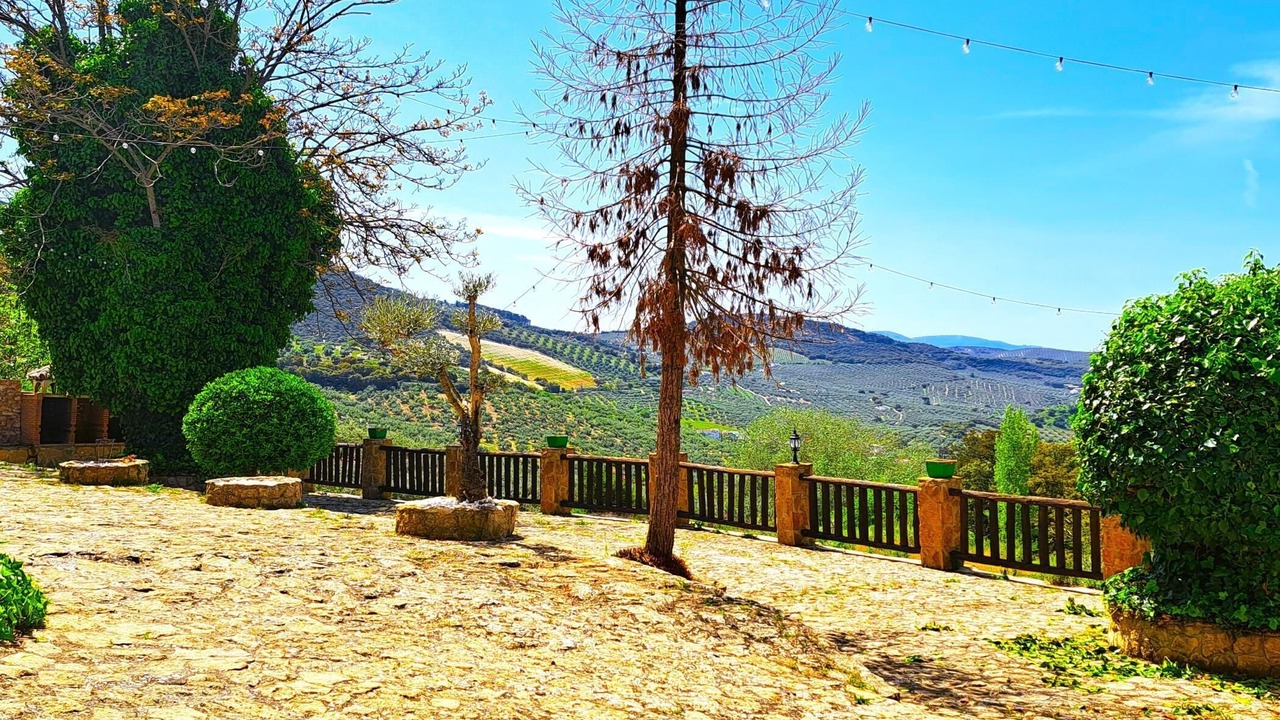 Photo of Outdoor in Algarinejo