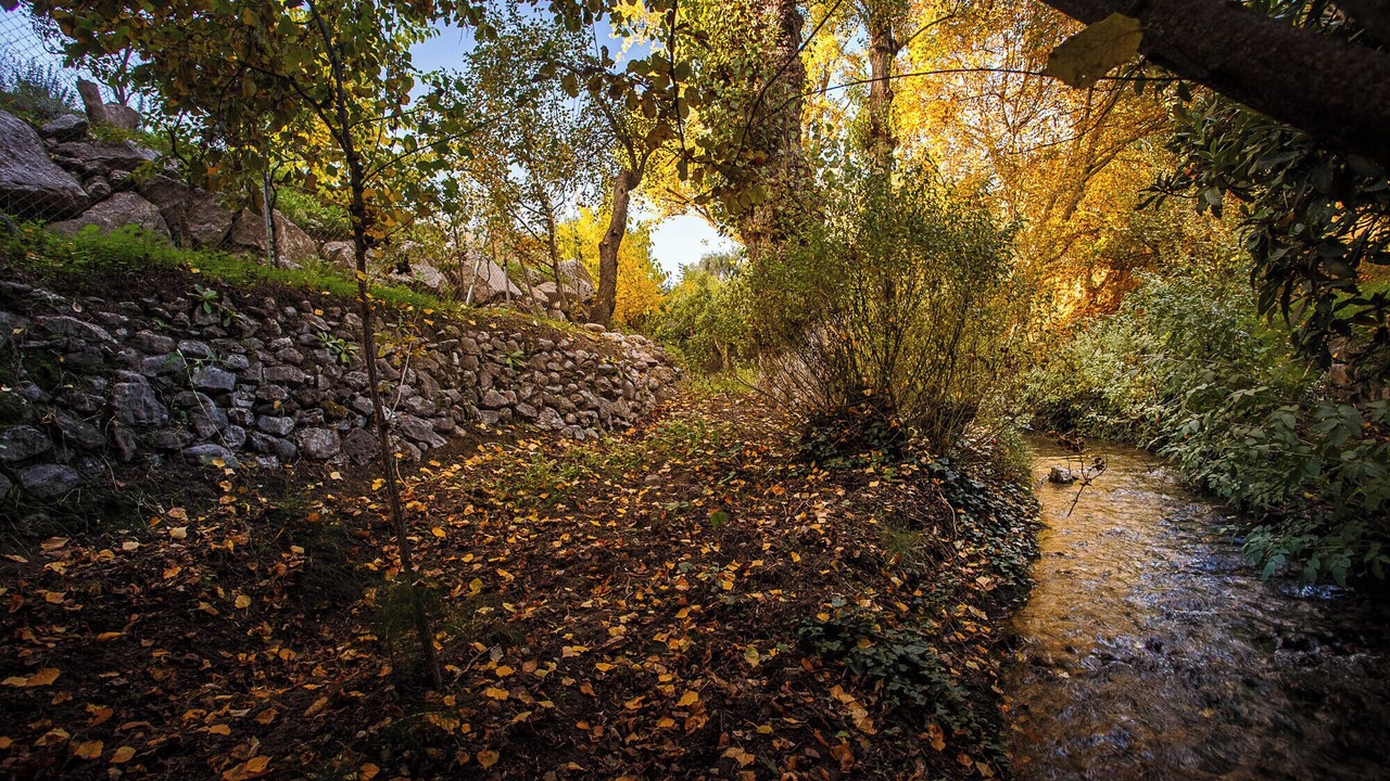 Photo of Others in Huetor Santillan