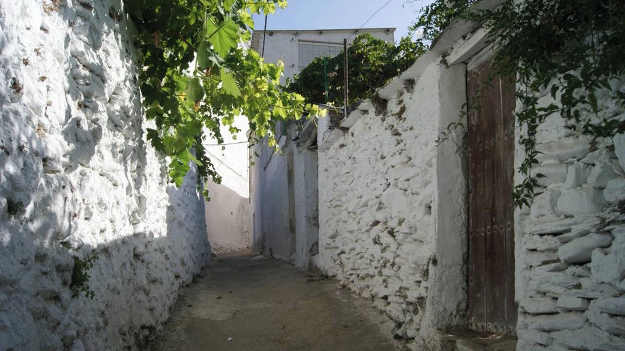 Photo of Outdoor in Cadiar