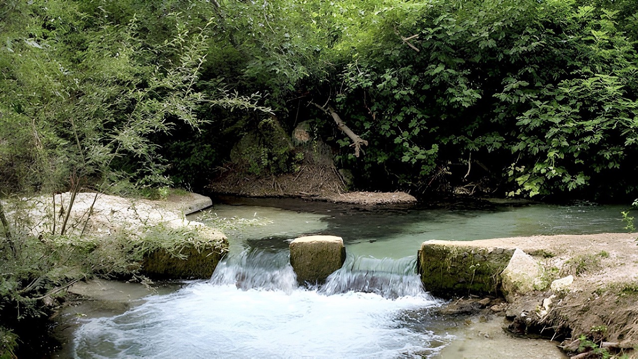 Photo of Others in Cuevas del Campo