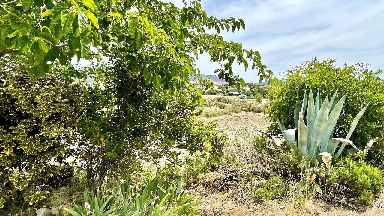 Photo of Outdoor in Cullar