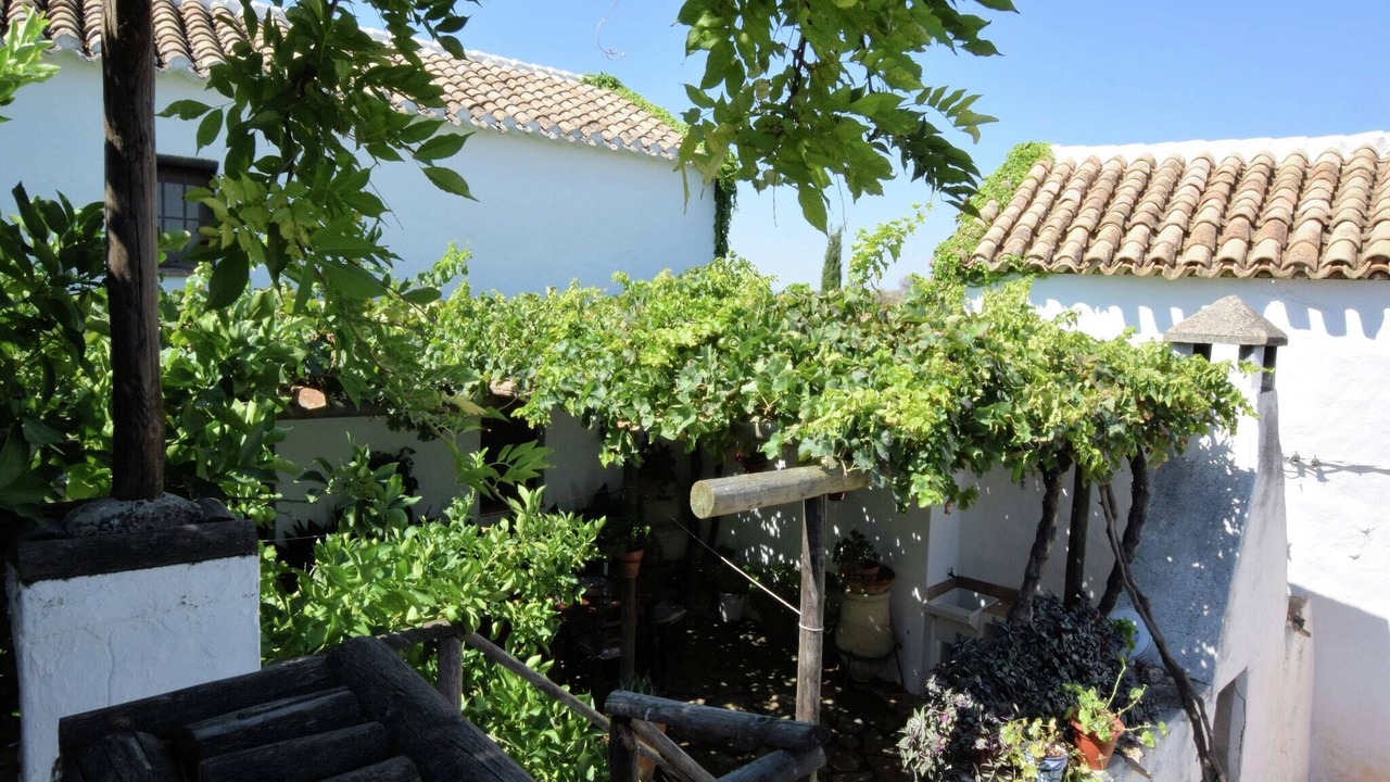 Photo of Outdoor in Algarinejo