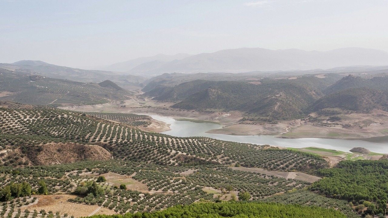 Photo of Others in Algarinejo