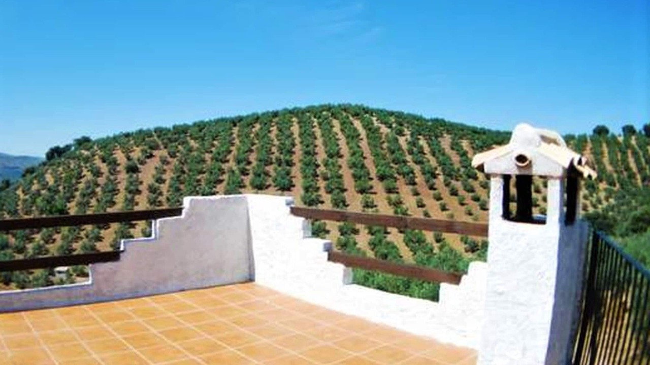 Photo of Patio Balcony in Serval