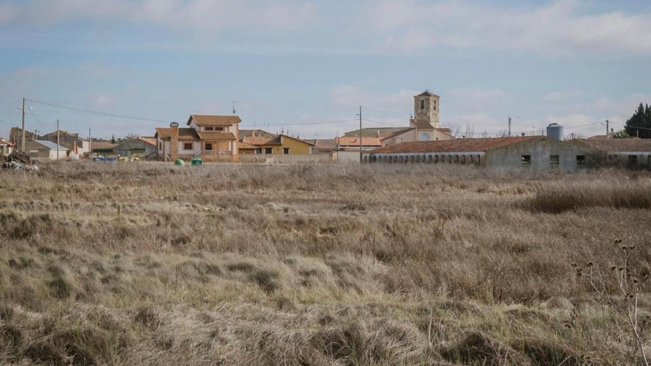 Photo of Others in Cullar