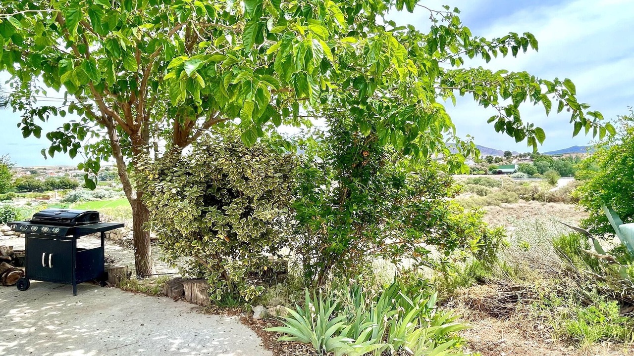 Photo of Outdoor in Cullar