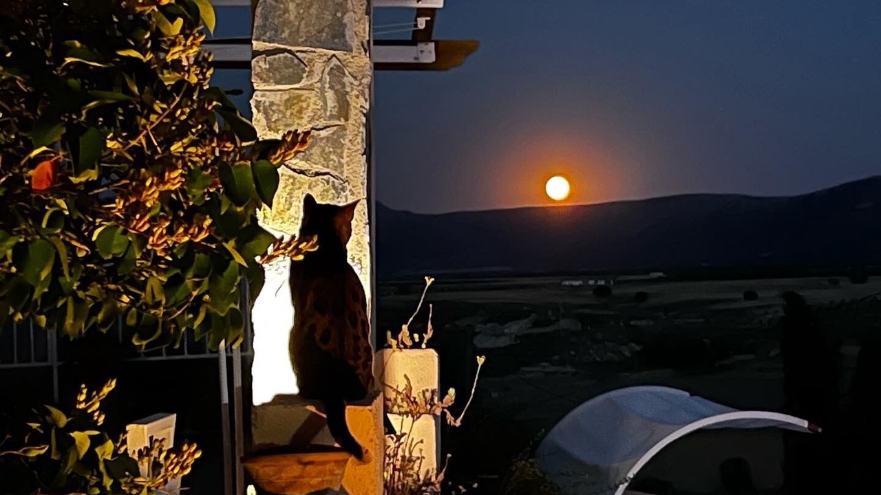 Photo of Others in Orce