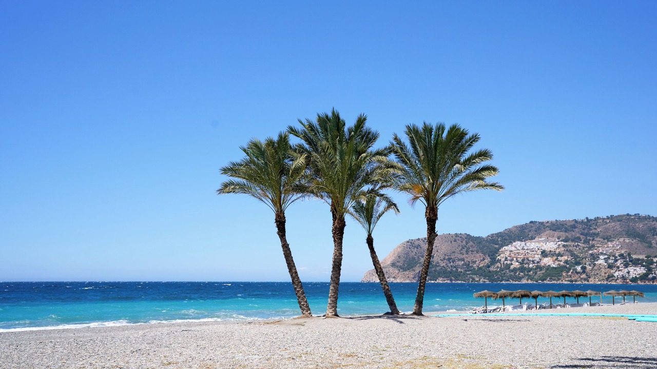Photo of Others in La Herradura
