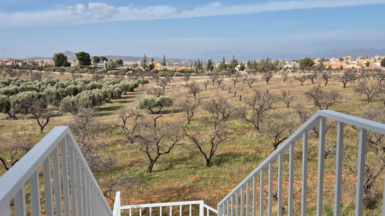 Photo of Outdoor in Dilar