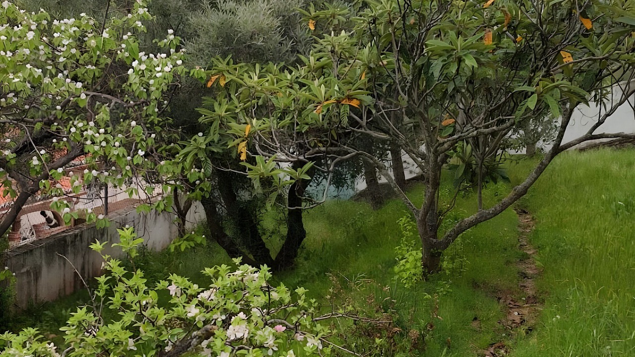 Photo of Outdoor in Nivar