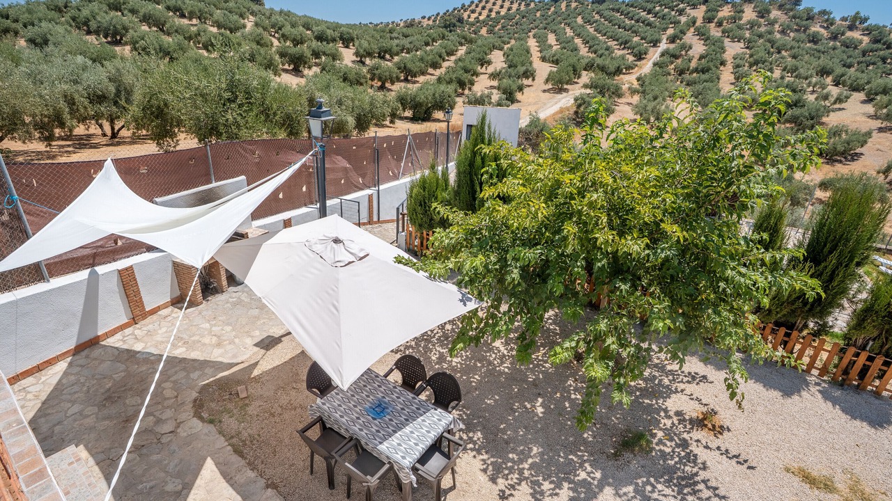 Photo of Outdoor in Algarinejo