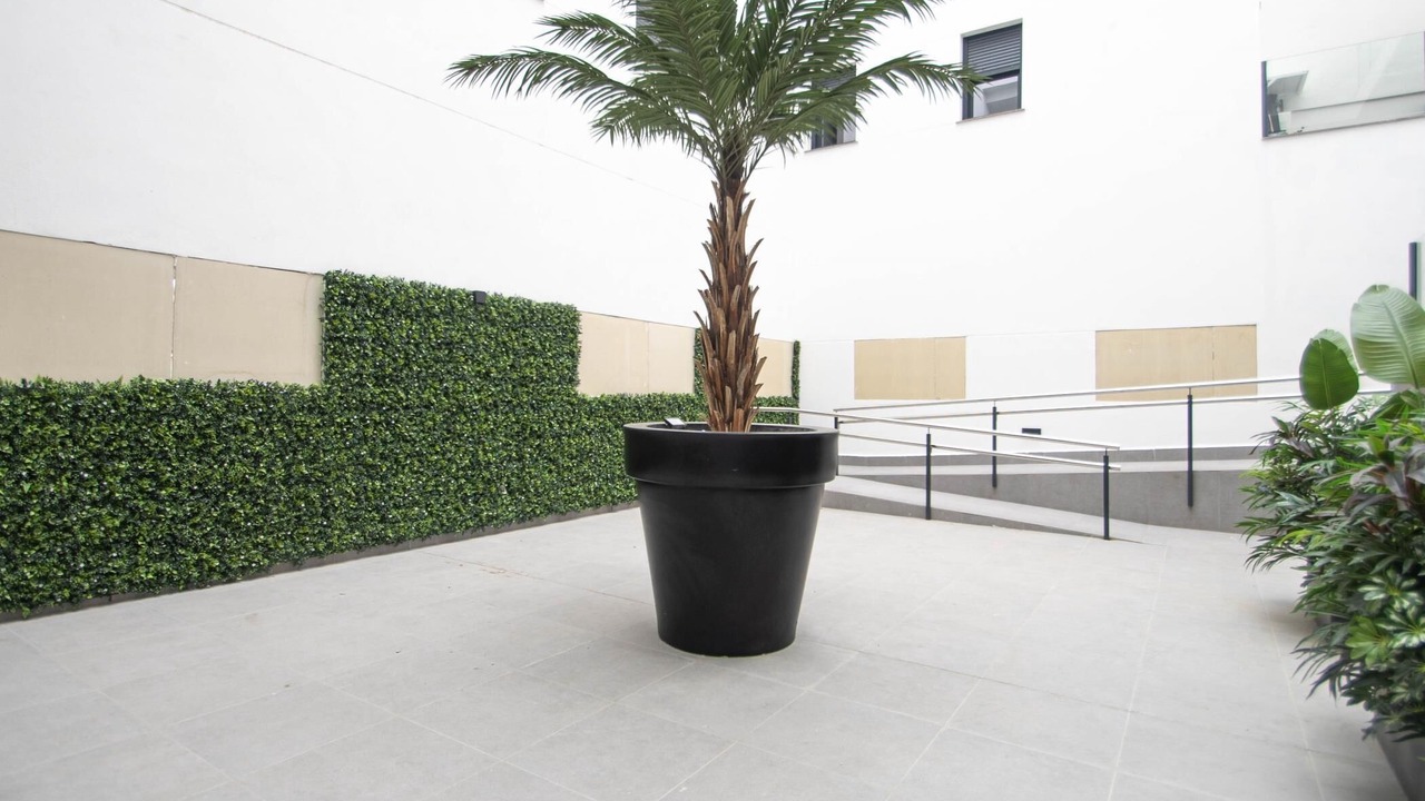 Photo of Outdoor in Armilla