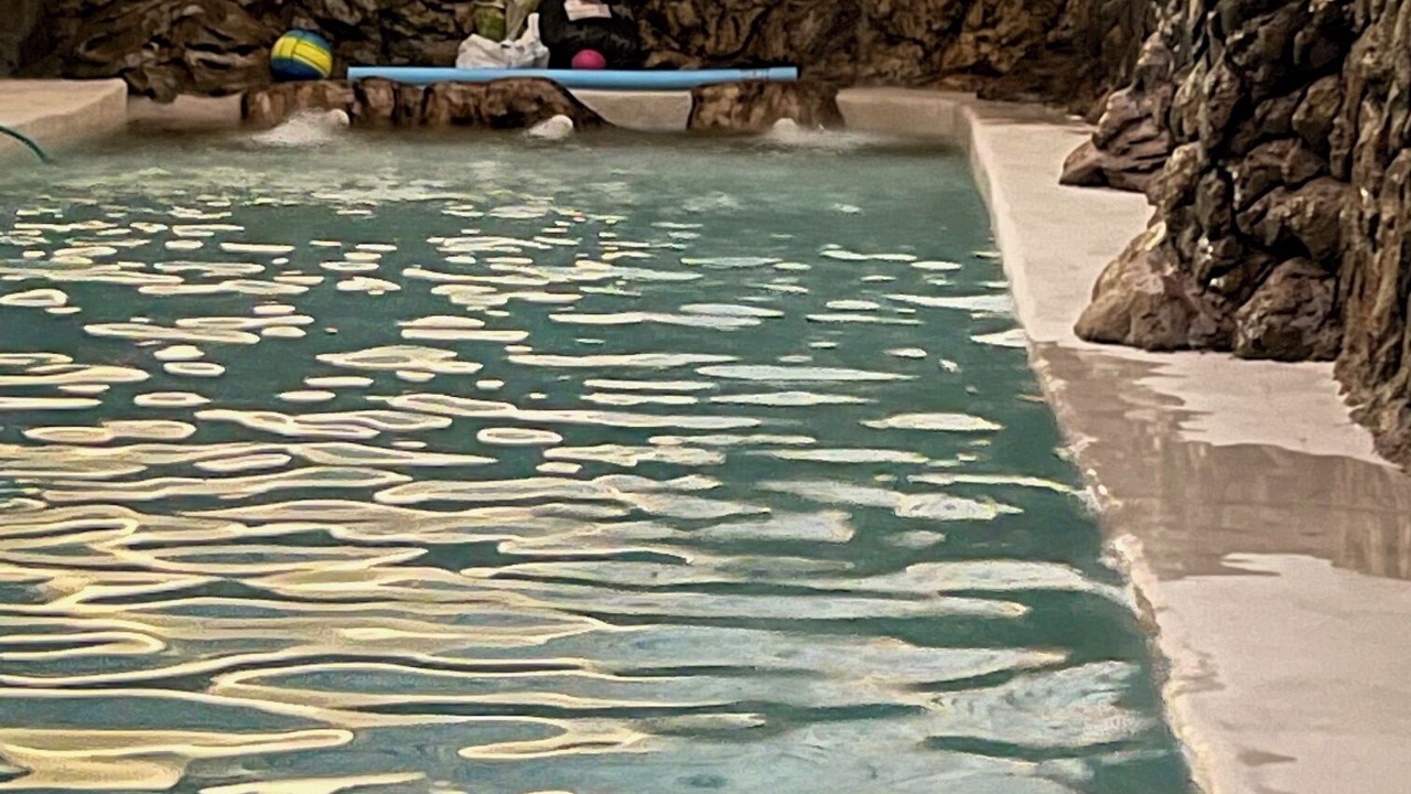 Photo of Outdoor in Cullar Vega