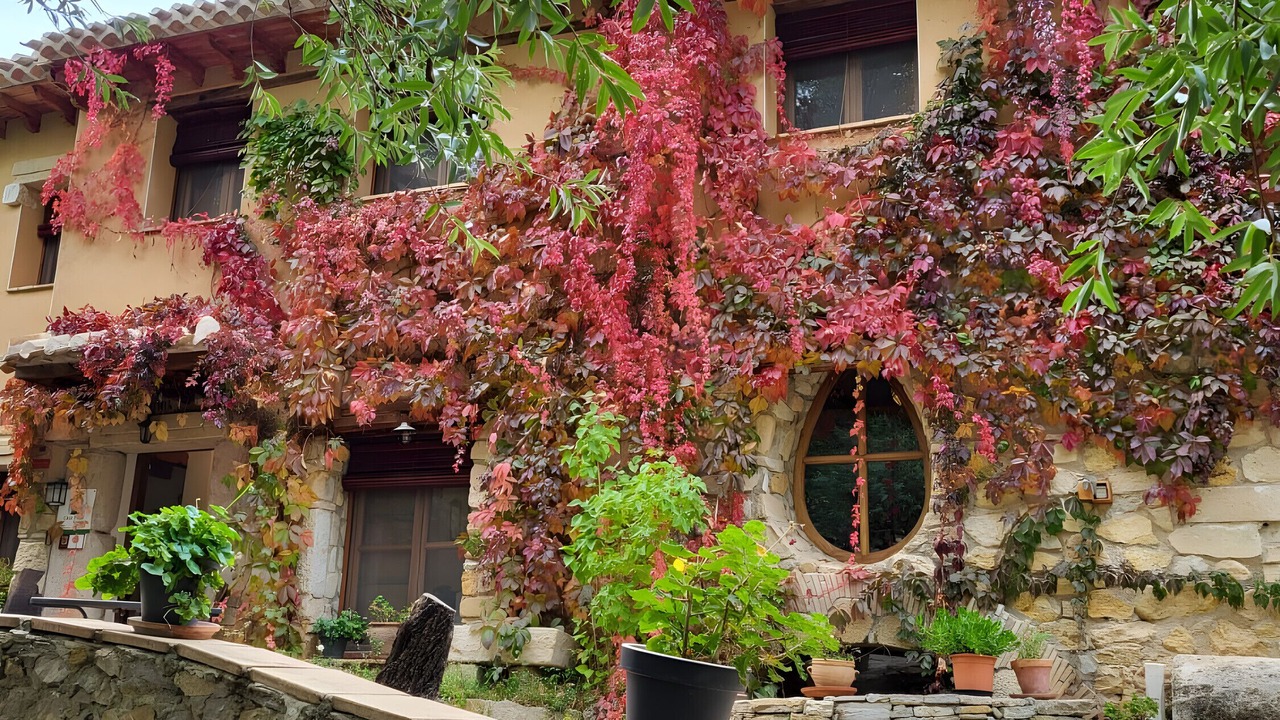 Photo of Outdoor in Puebla de Don Fadrique