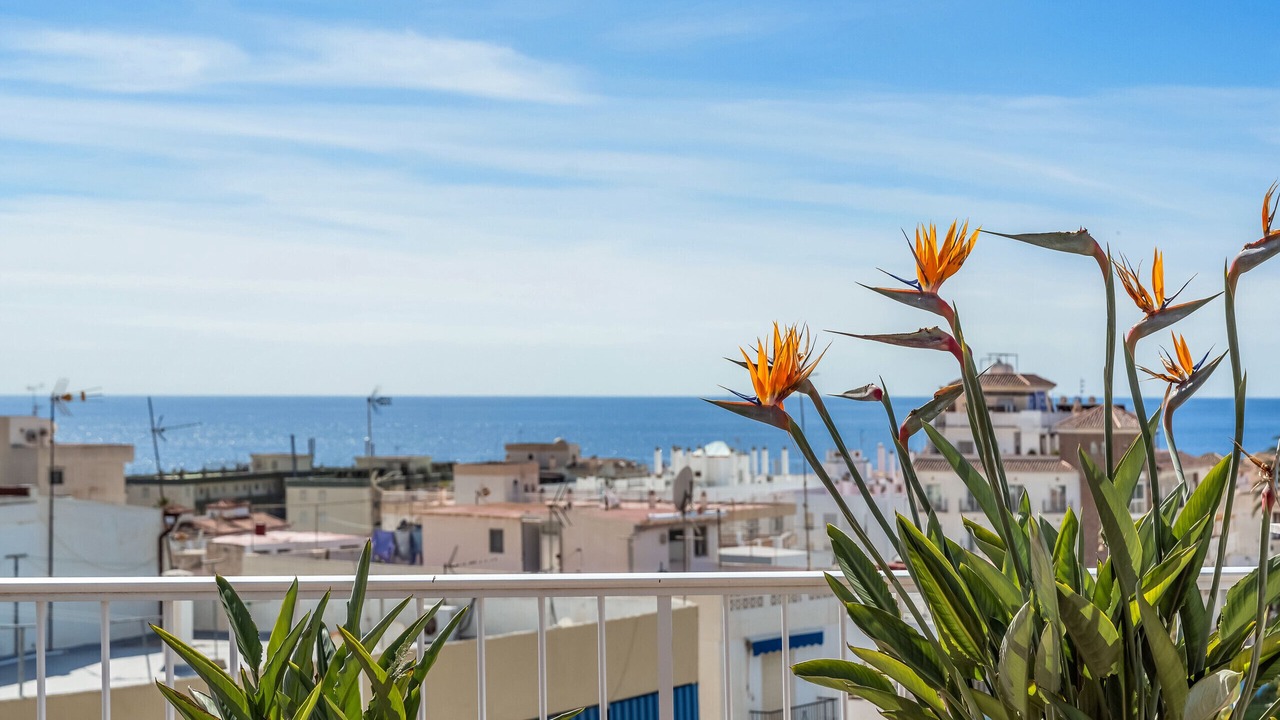 Photo of Outdoor in La Herradura