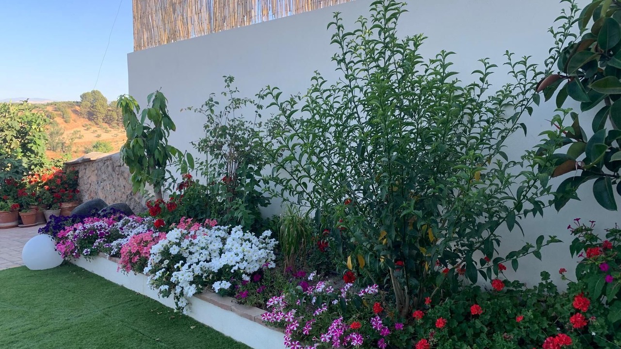 Photo of Outdoor in Alomartes