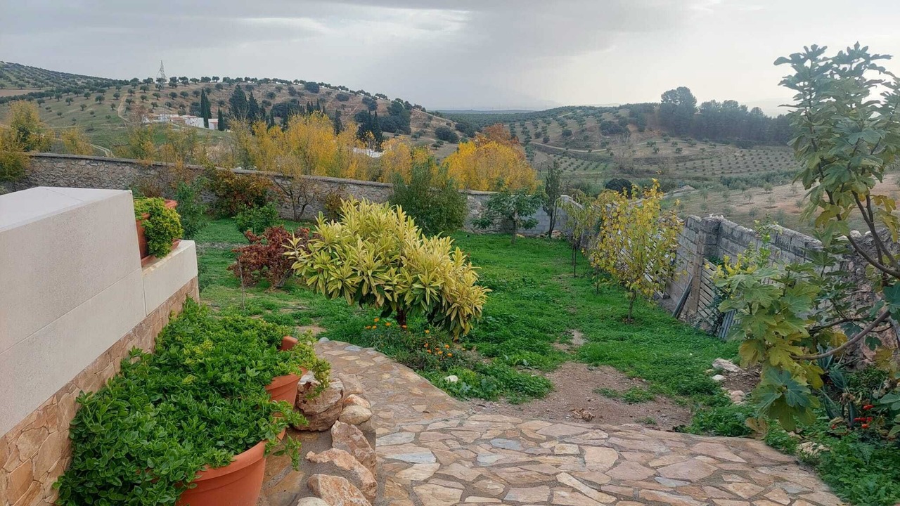 Photo of Outdoor in Alomartes