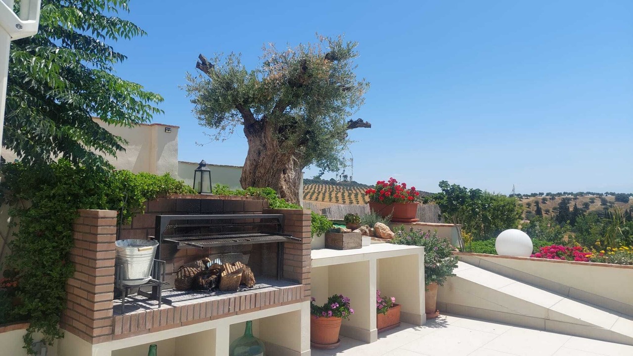 Photo of Patio Balcony in Alomartes