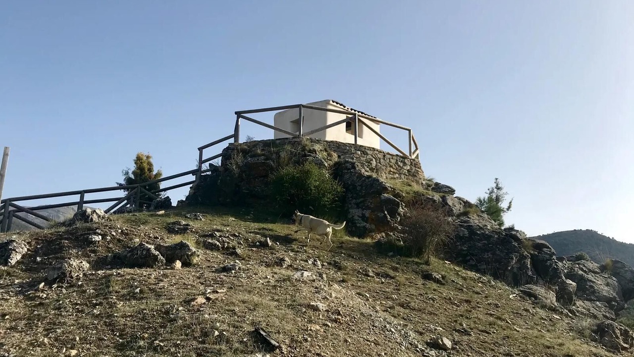 Photo of Others in Zujar