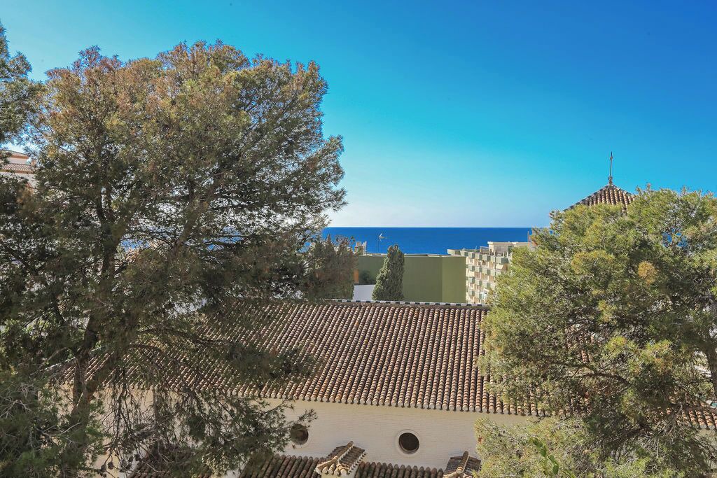 Photo of Outdoor in La Herradura