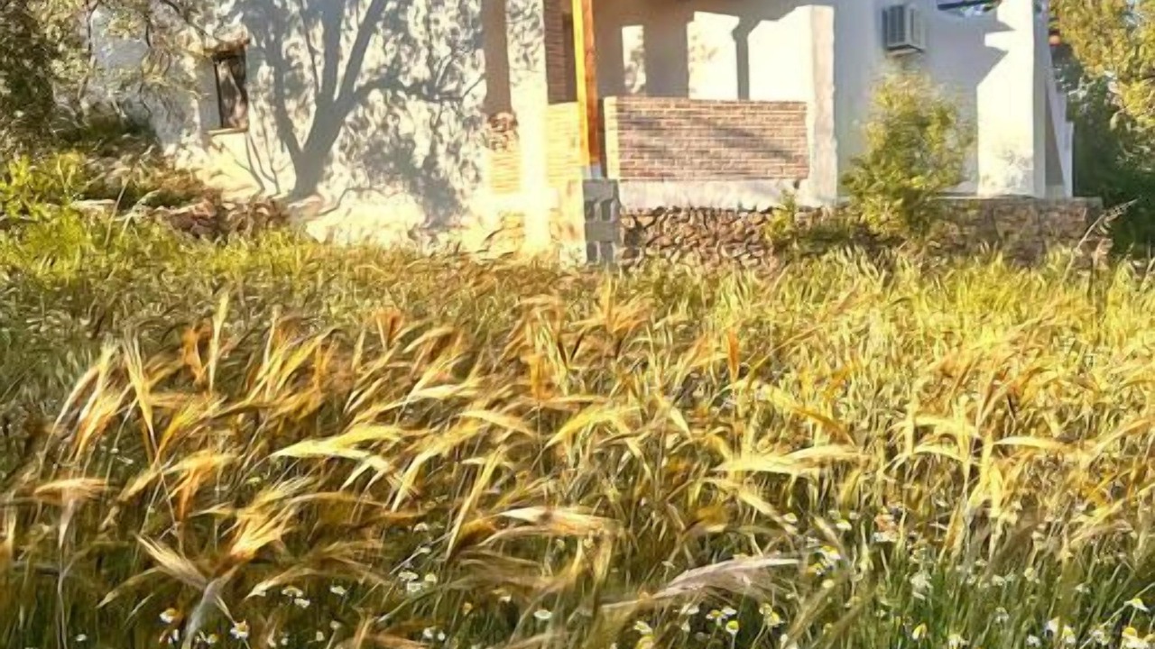 Photo of Outdoor in Orgiva