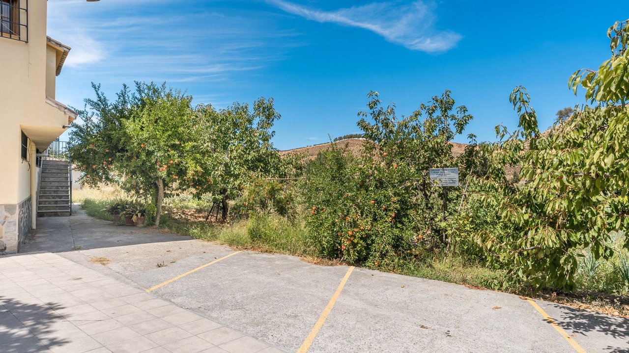 Photo of Outdoor in Barrio de la Vega