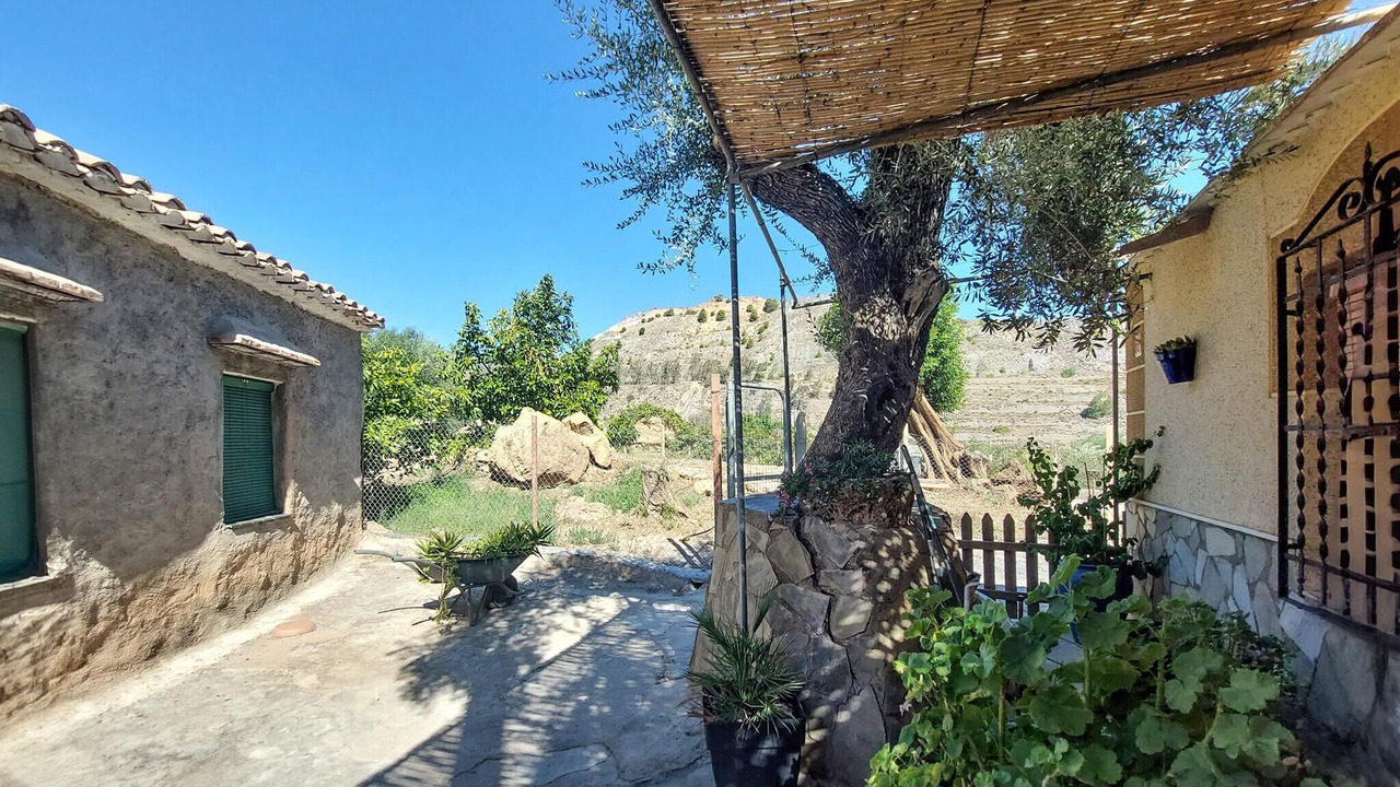 Photo of Others in El Pinar